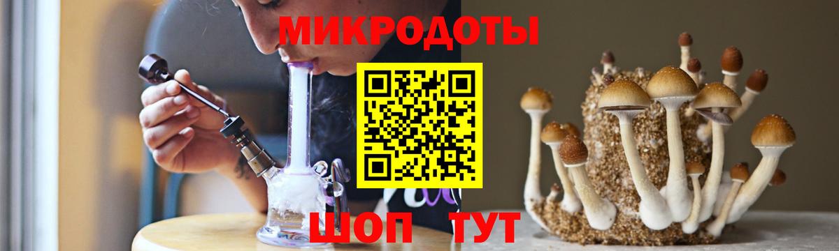 Галлюциногенные грибы Cubensis  Вход с VPN  Ефремов 
